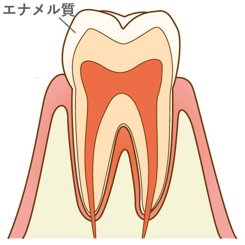 エナメル質